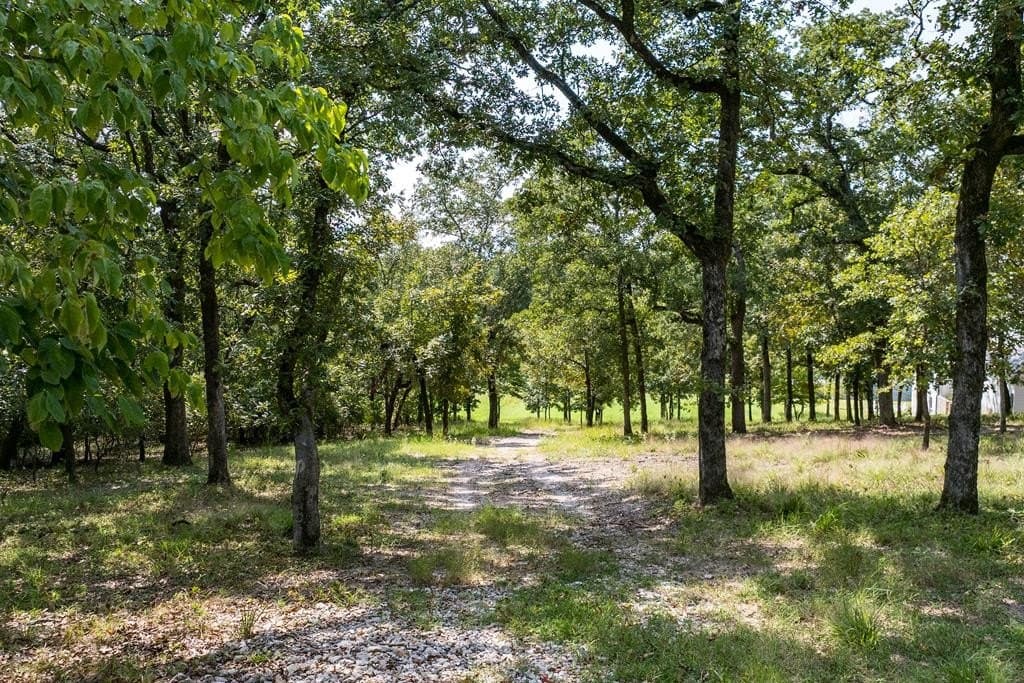 1.37 acres in Henderson County - photo 17