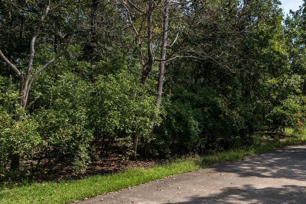 1.37 acres in Henderson County - photo 25