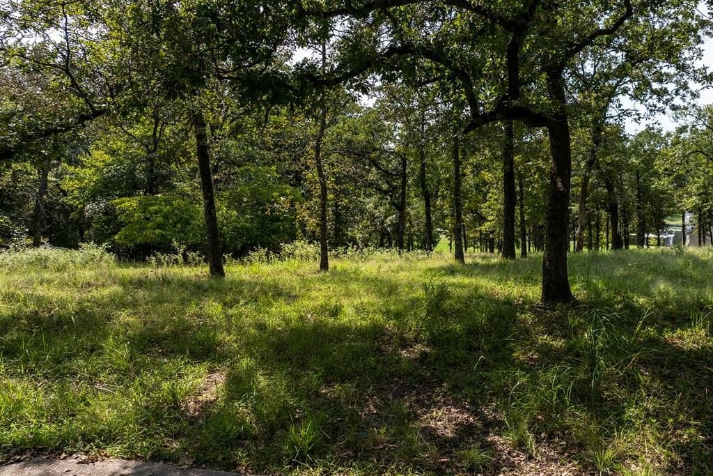 1.37 acres in Henderson County - photo 22