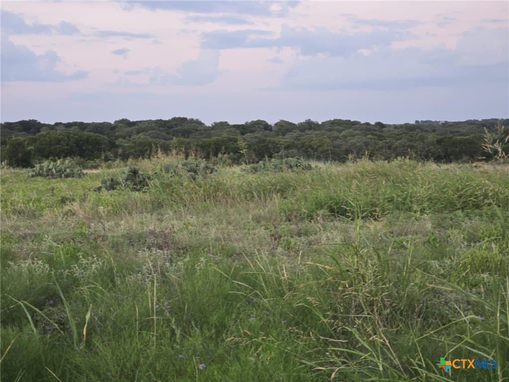 5.14 acres in Coryell County gallery image 3