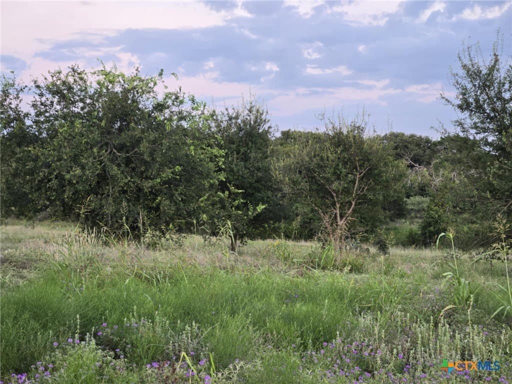 5.14 acres in Coryell County gallery image 4