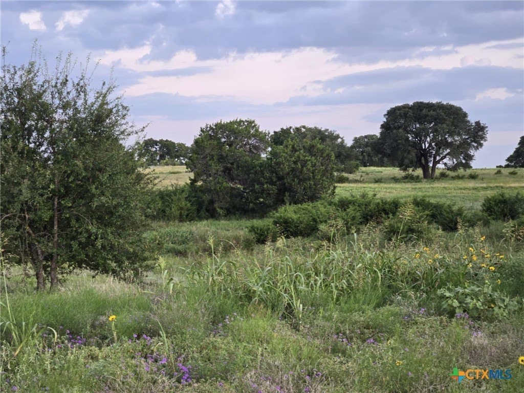 5.14 acres in Coryell County featured view