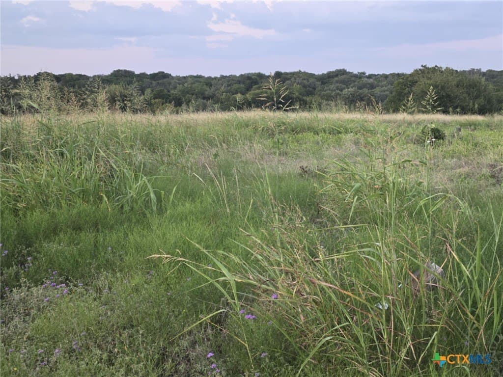 5.14 acres in Coryell County gallery image 2