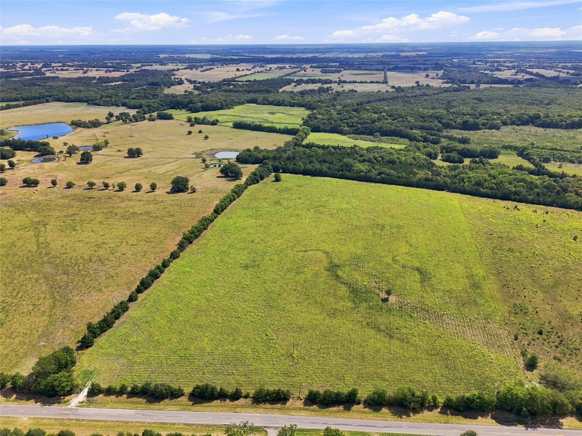 69.67 acres in Lamar County - photo 11