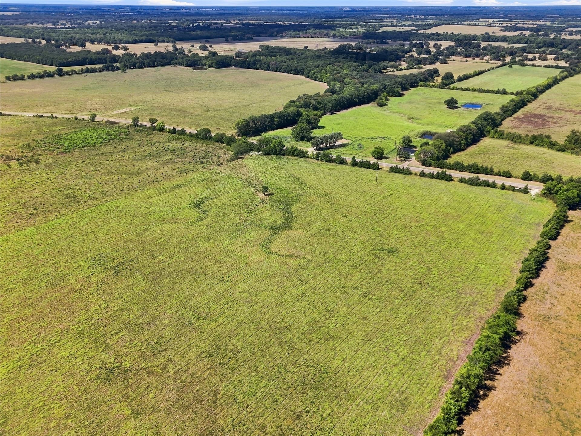 69.67 acres in Lamar County - photo 26