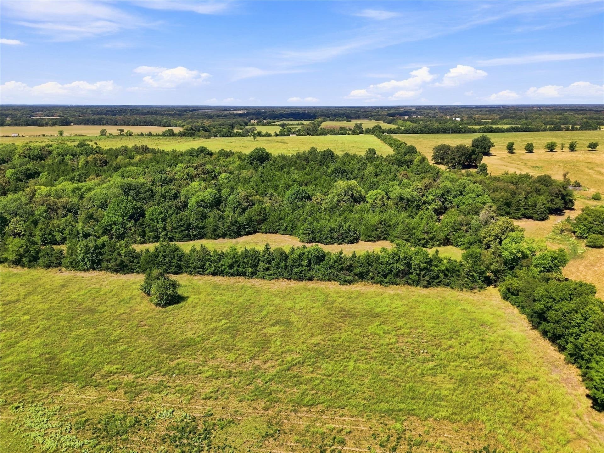 69.67 acres in Lamar County - photo 29