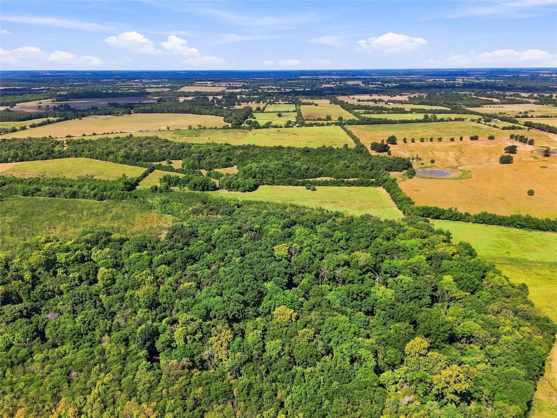 69.67 acres in Lamar County - photo 23