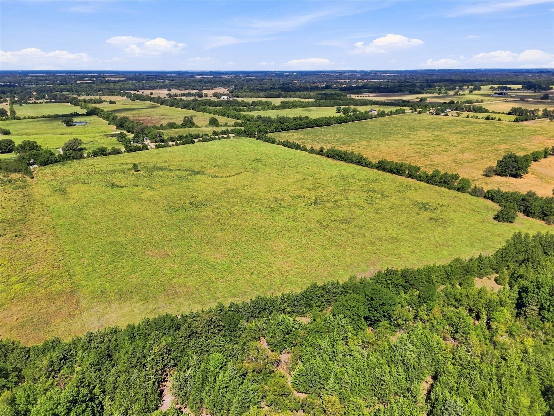 69.67 acres in Lamar County - photo 16