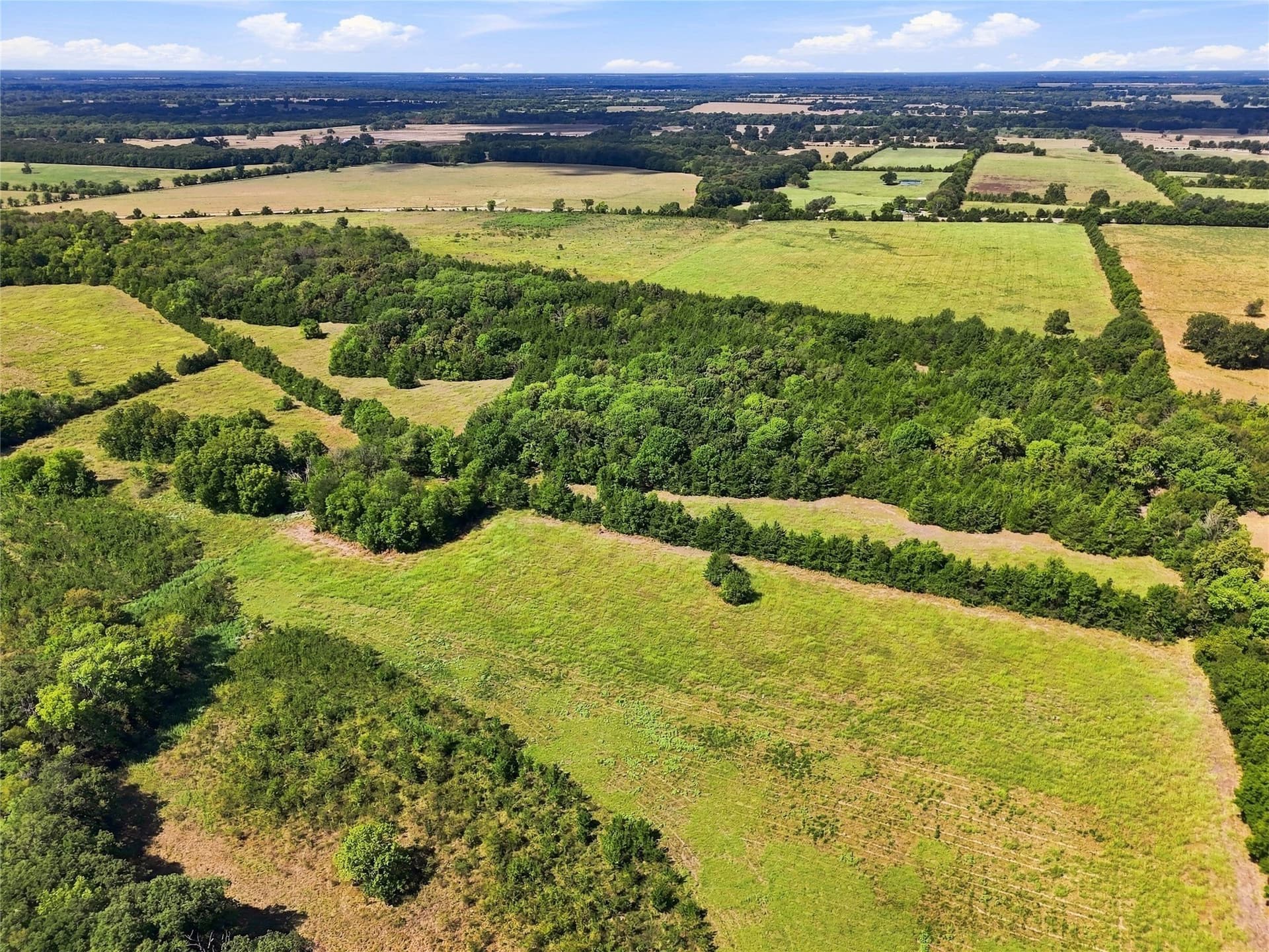 69.67 acres in Lamar County - photo 24