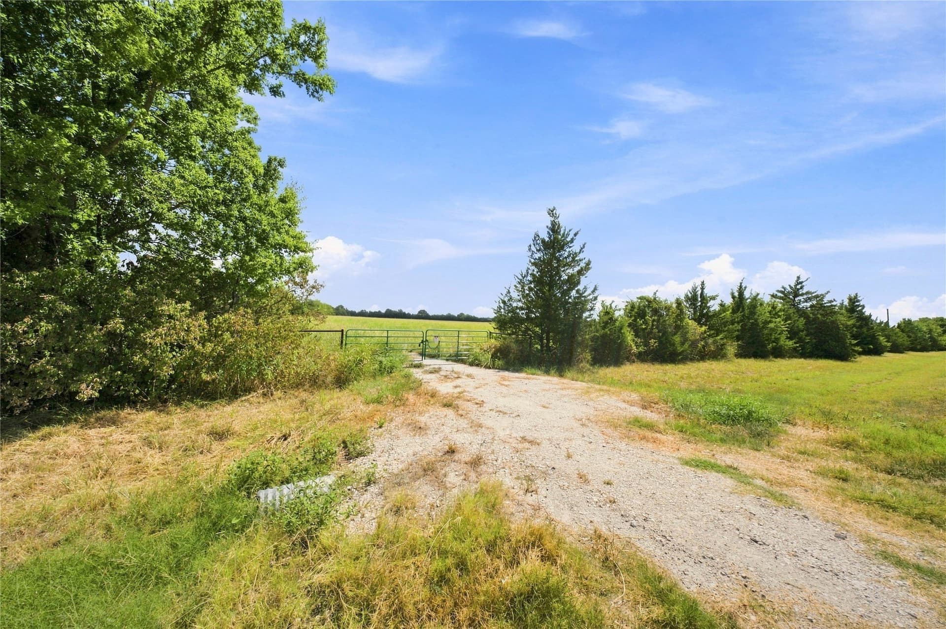 69.67 acres in Lamar County - photo 7