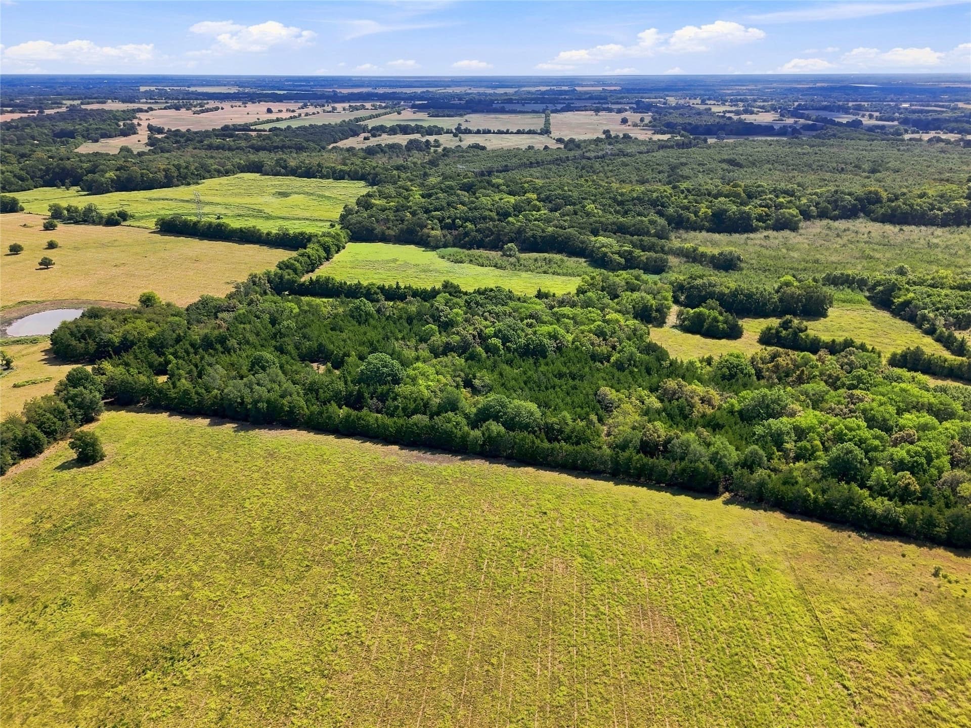 69.67 acres in Lamar County - photo 13