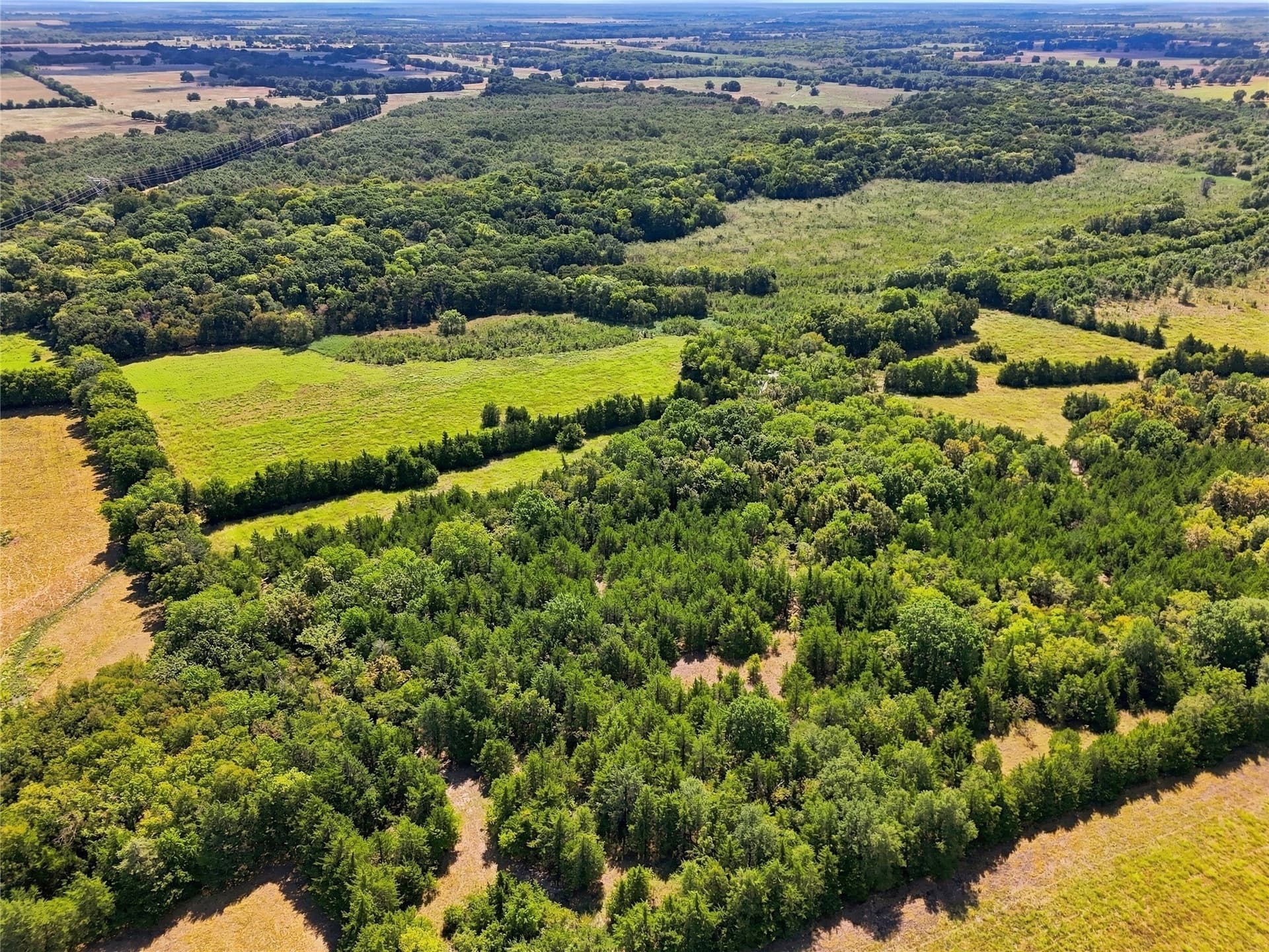 69.67 acres in Lamar County - photo 25