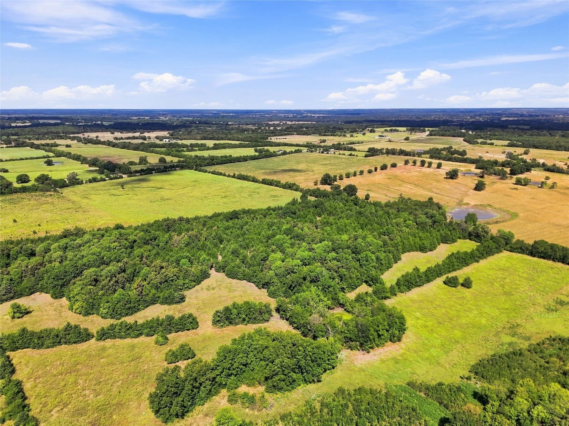69.67 acres in Lamar County - photo 20