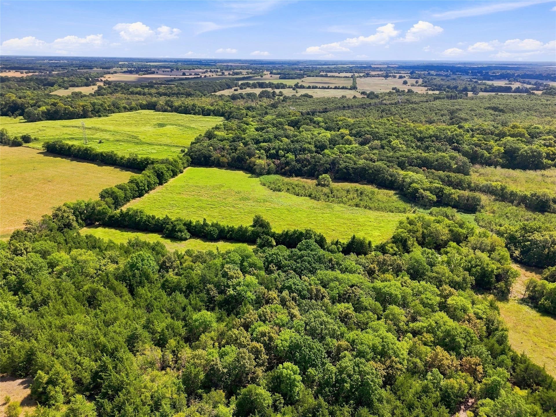 69.67 acres in Lamar County - photo 19