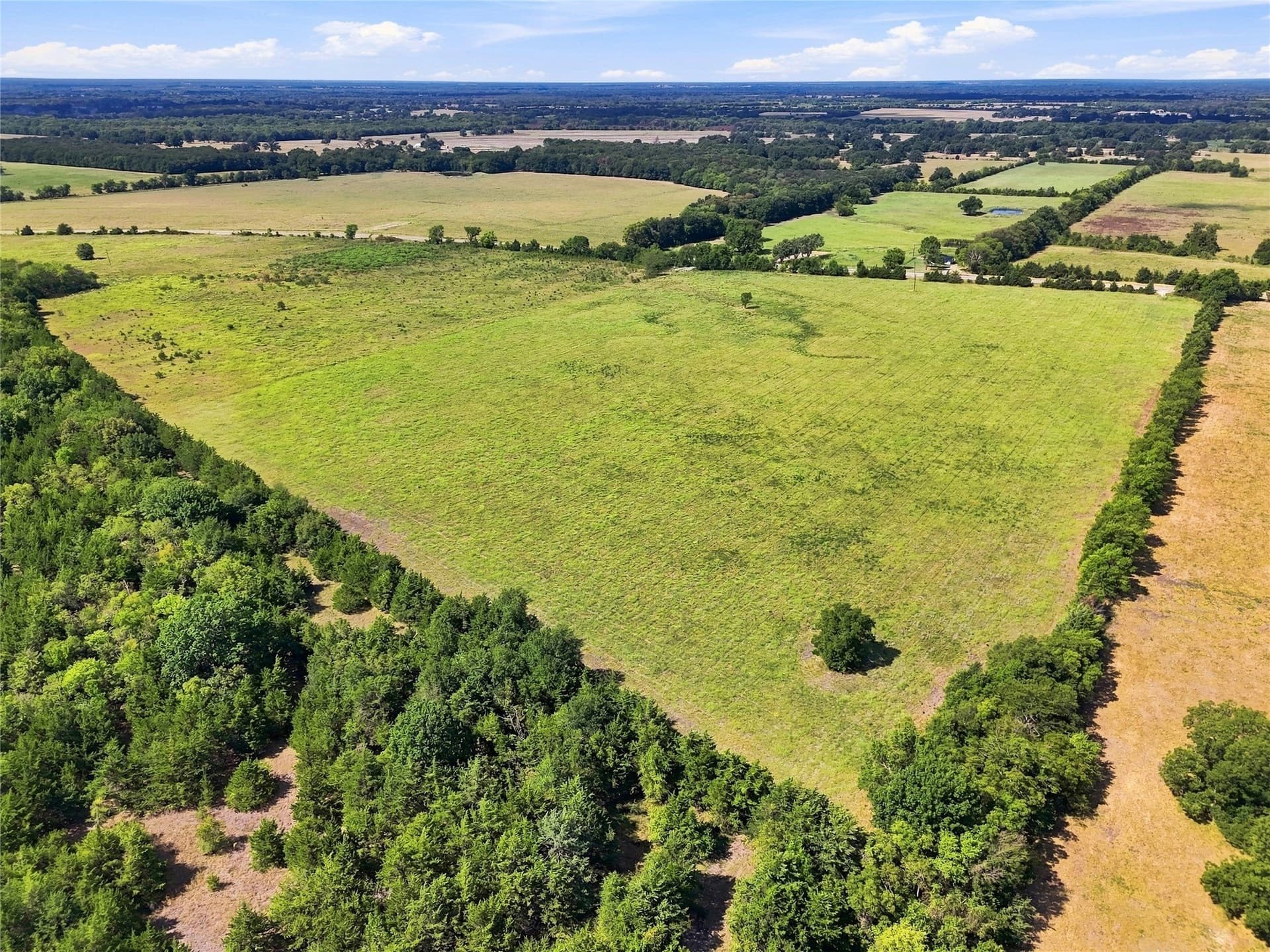 69.67 acres in Lamar County - photo 18
