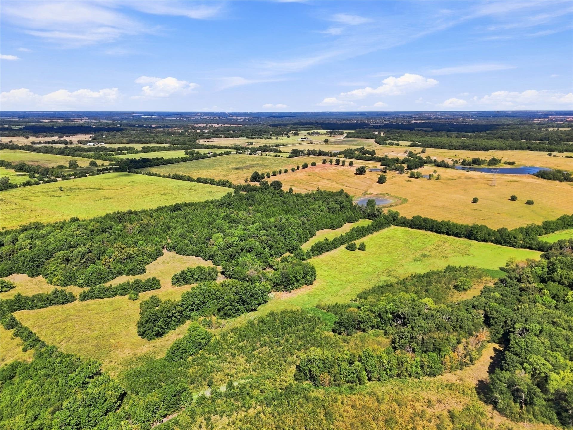 69.67 acres in Lamar County - photo 21