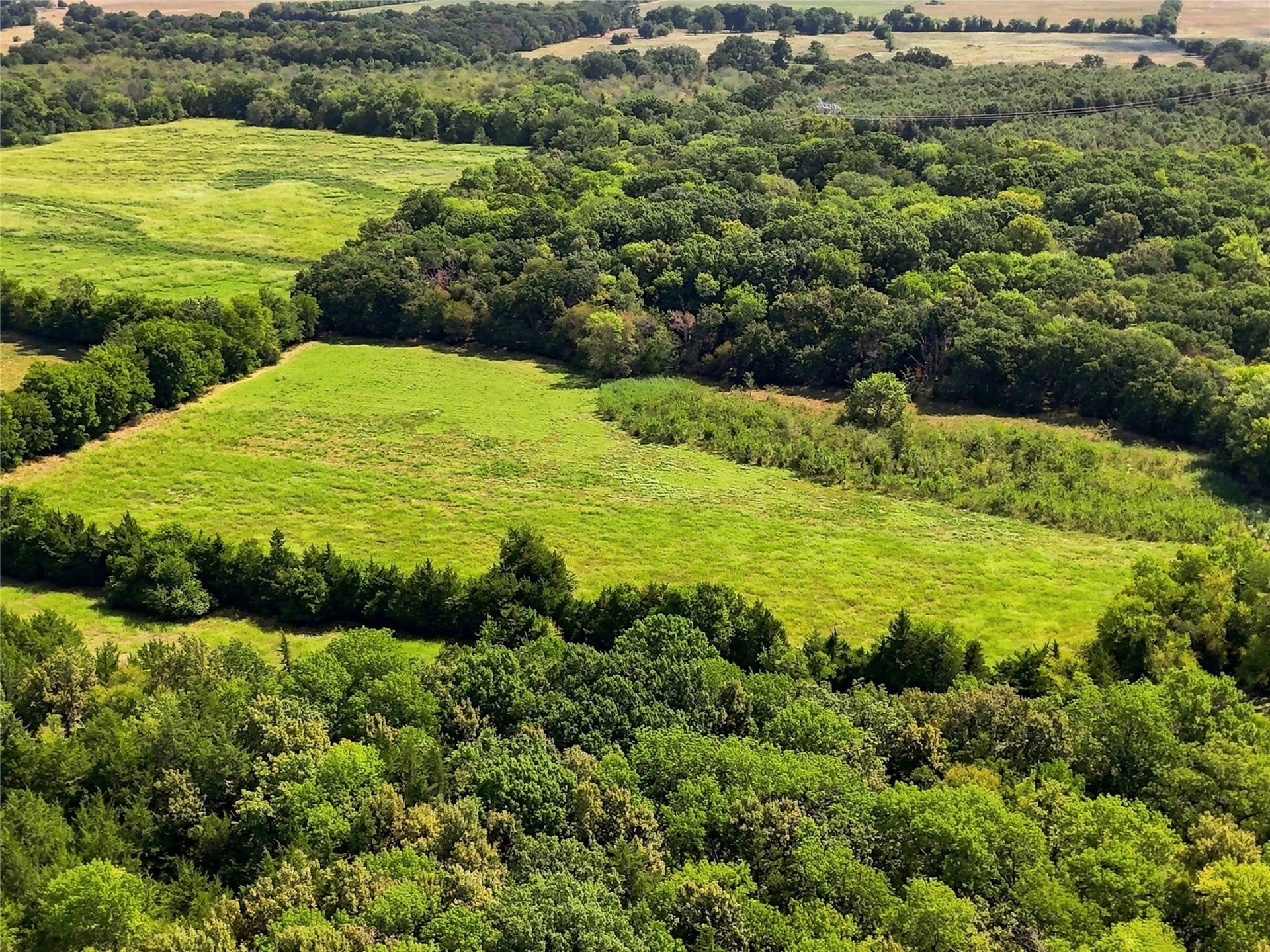 69.67 acres in Lamar County - photo 15