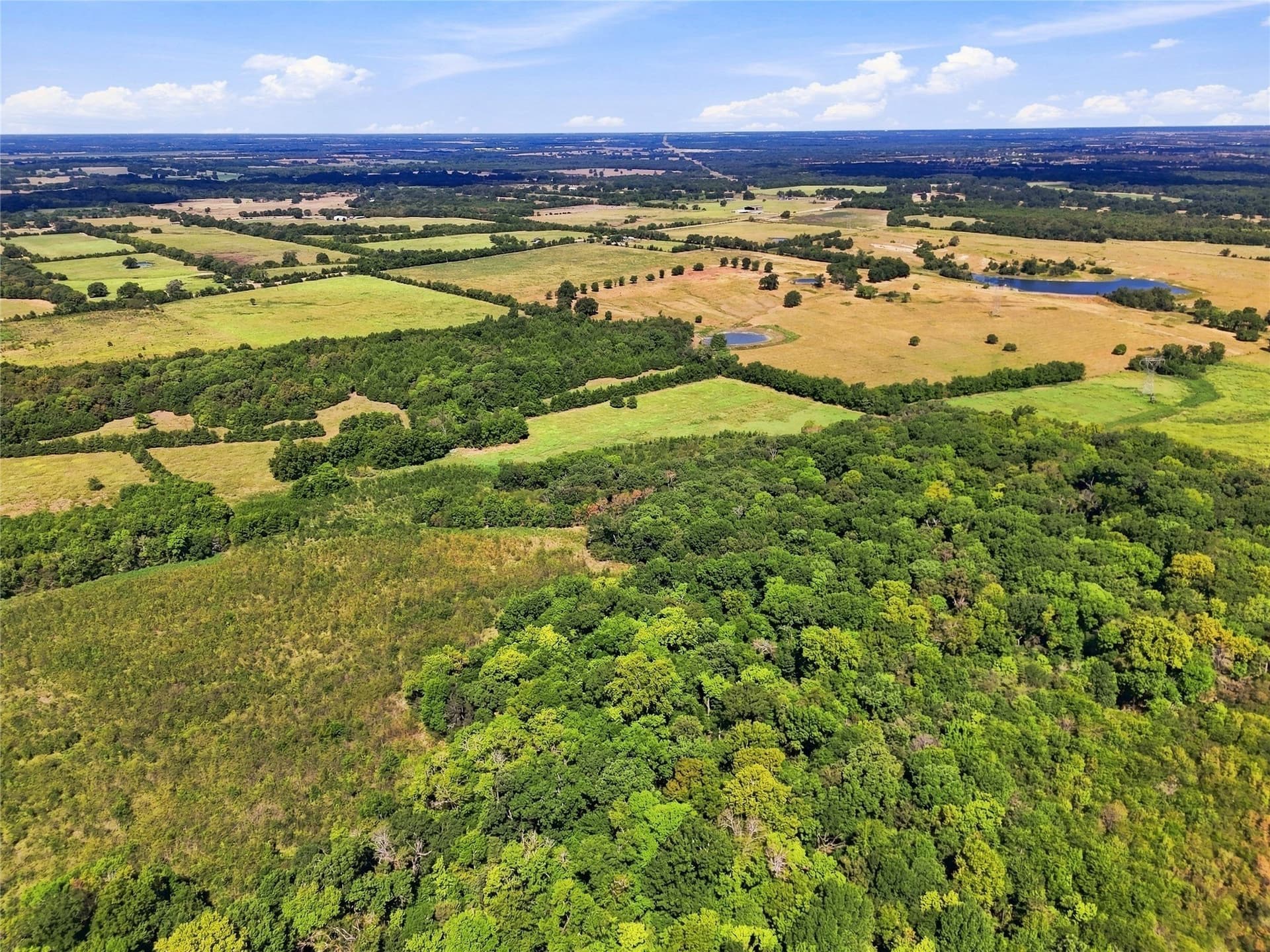 69.67 acres in Lamar County - photo 22