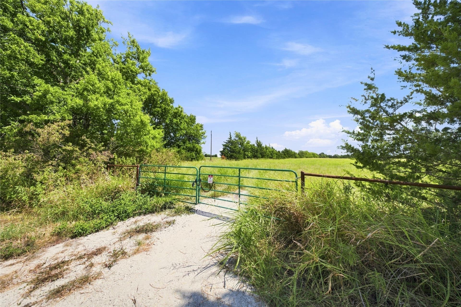 69.67 acres in Lamar County - photo 8