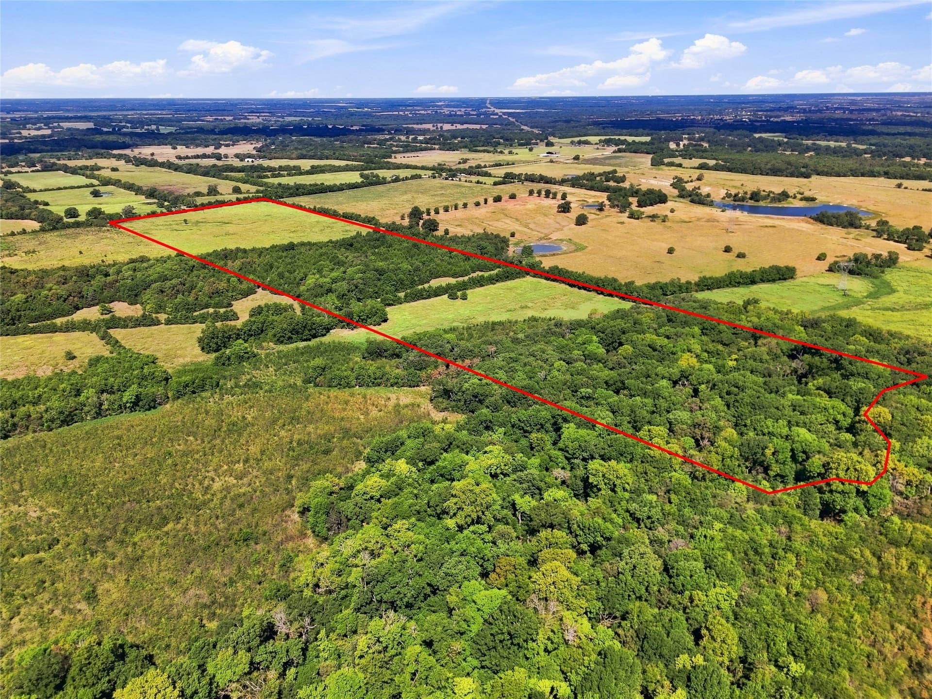 69.67 acres in Lamar County - photo 2