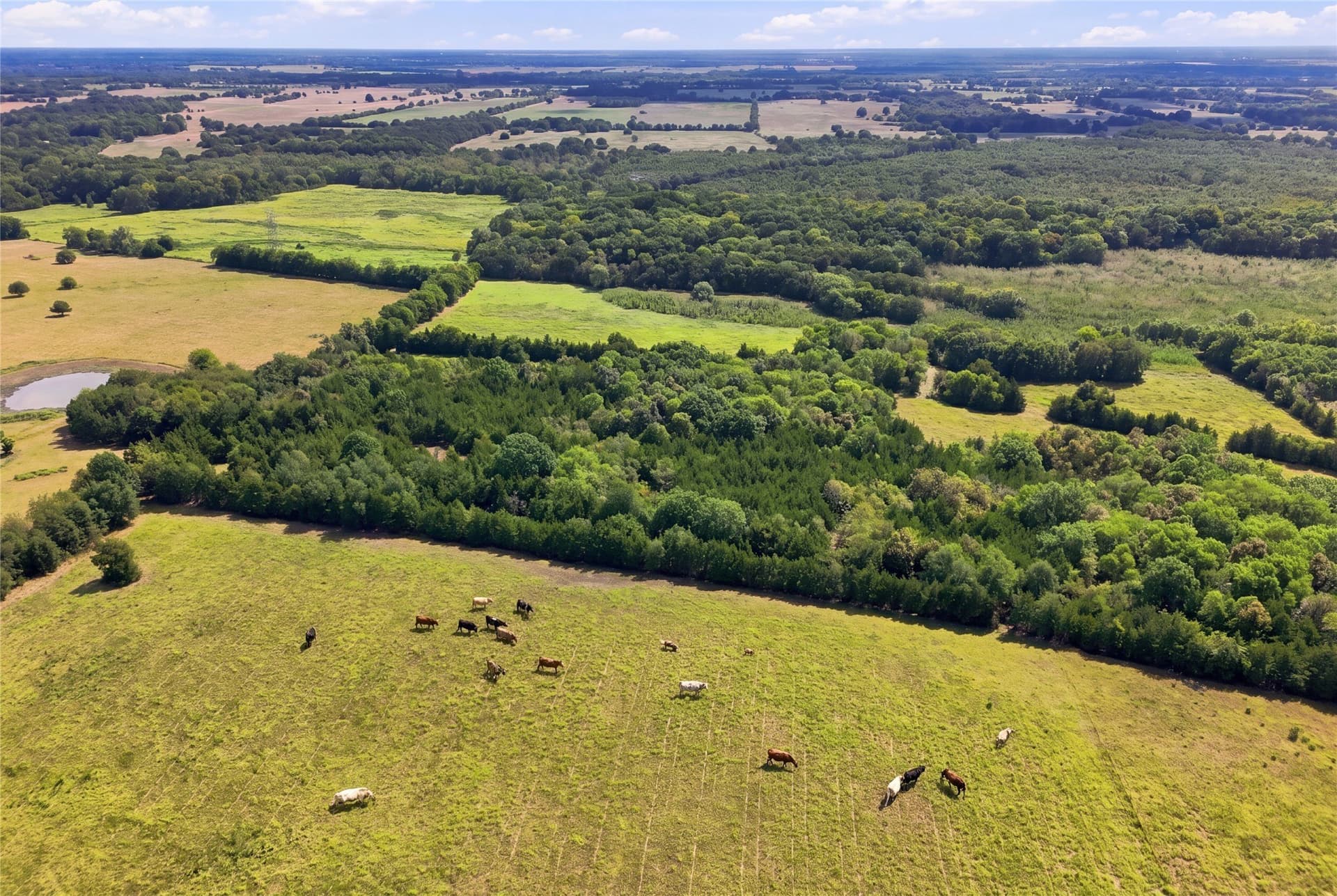 69.67 acres in Lamar County - photo 3