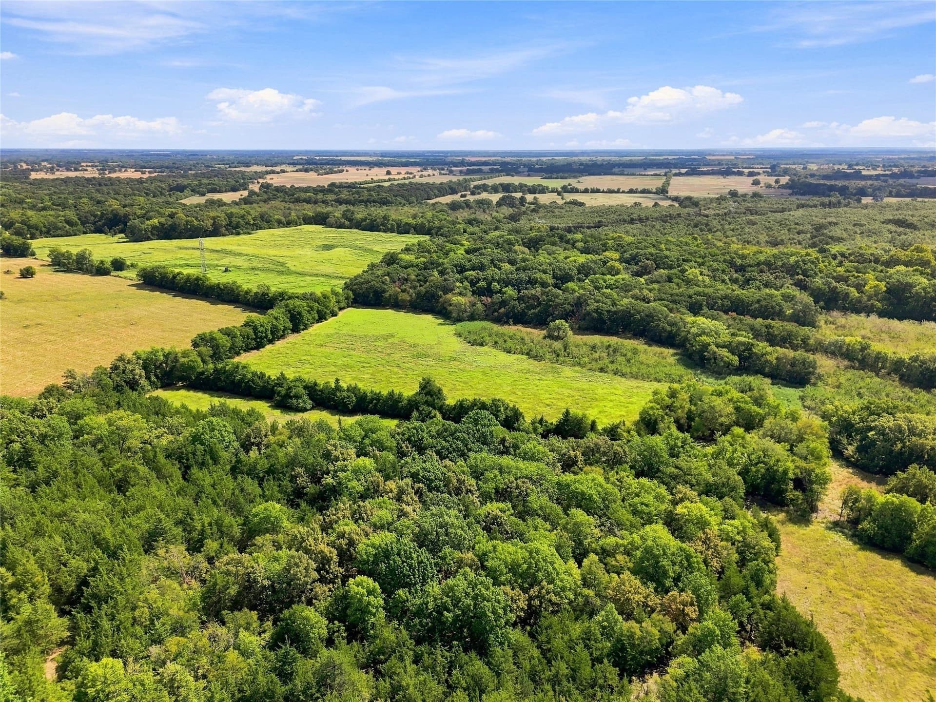 69.67 acres in Lamar County - photo 14