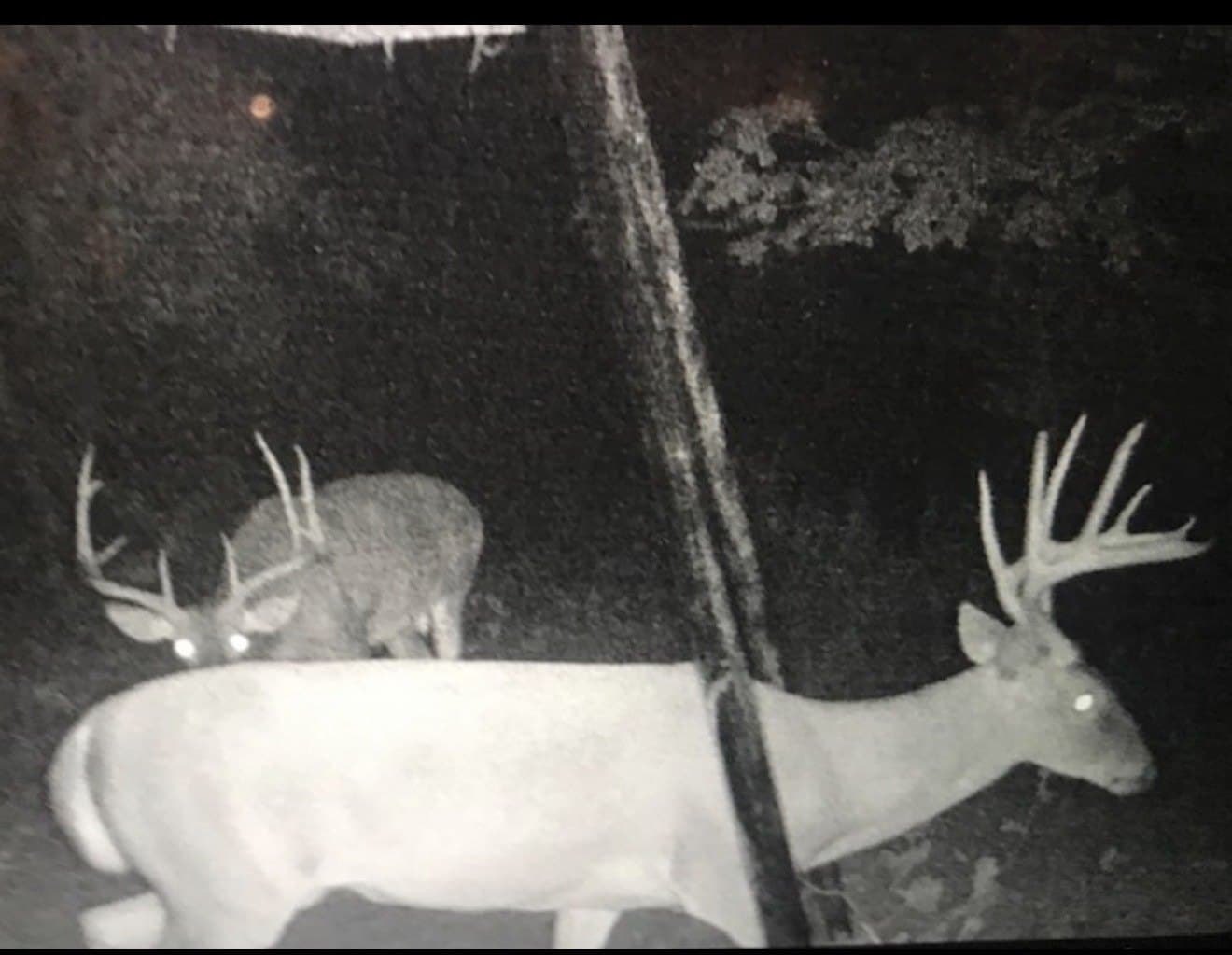 30.35 acres in Wood County - photo 10