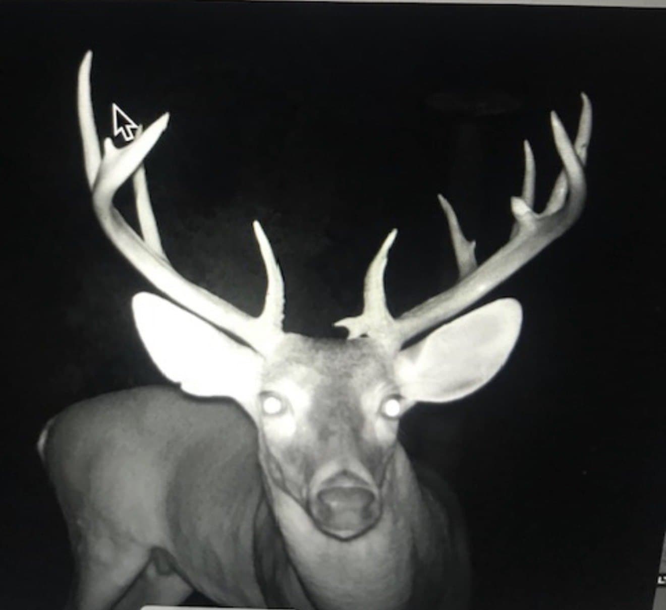 30.35 acres in Wood County - photo 14