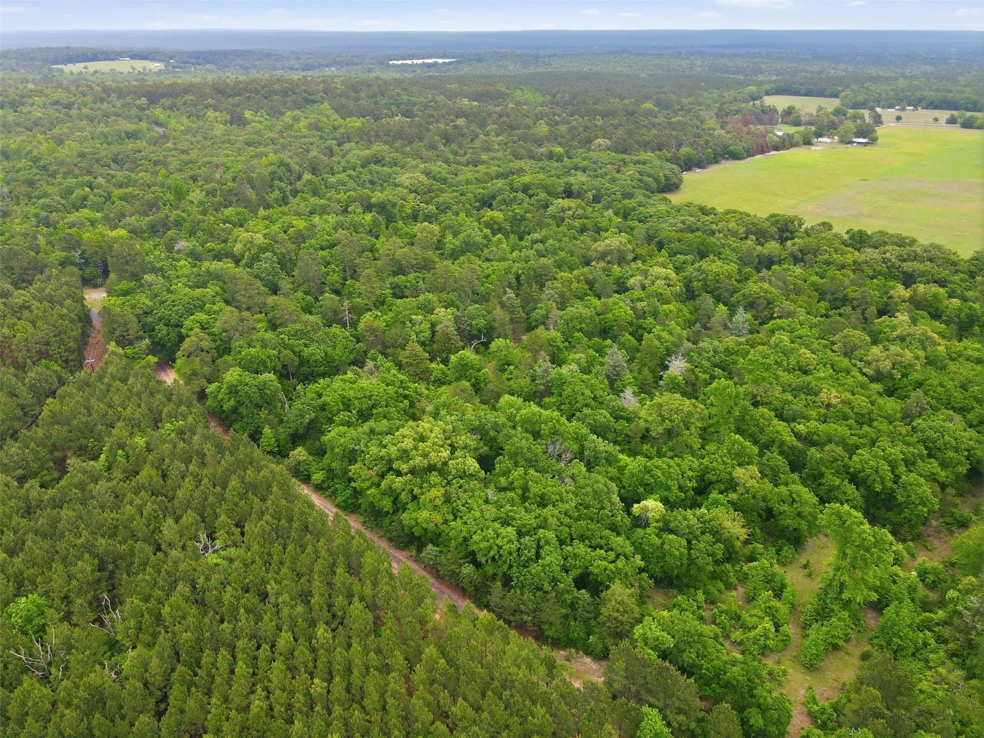 30.35 acres in Wood County - photo 3