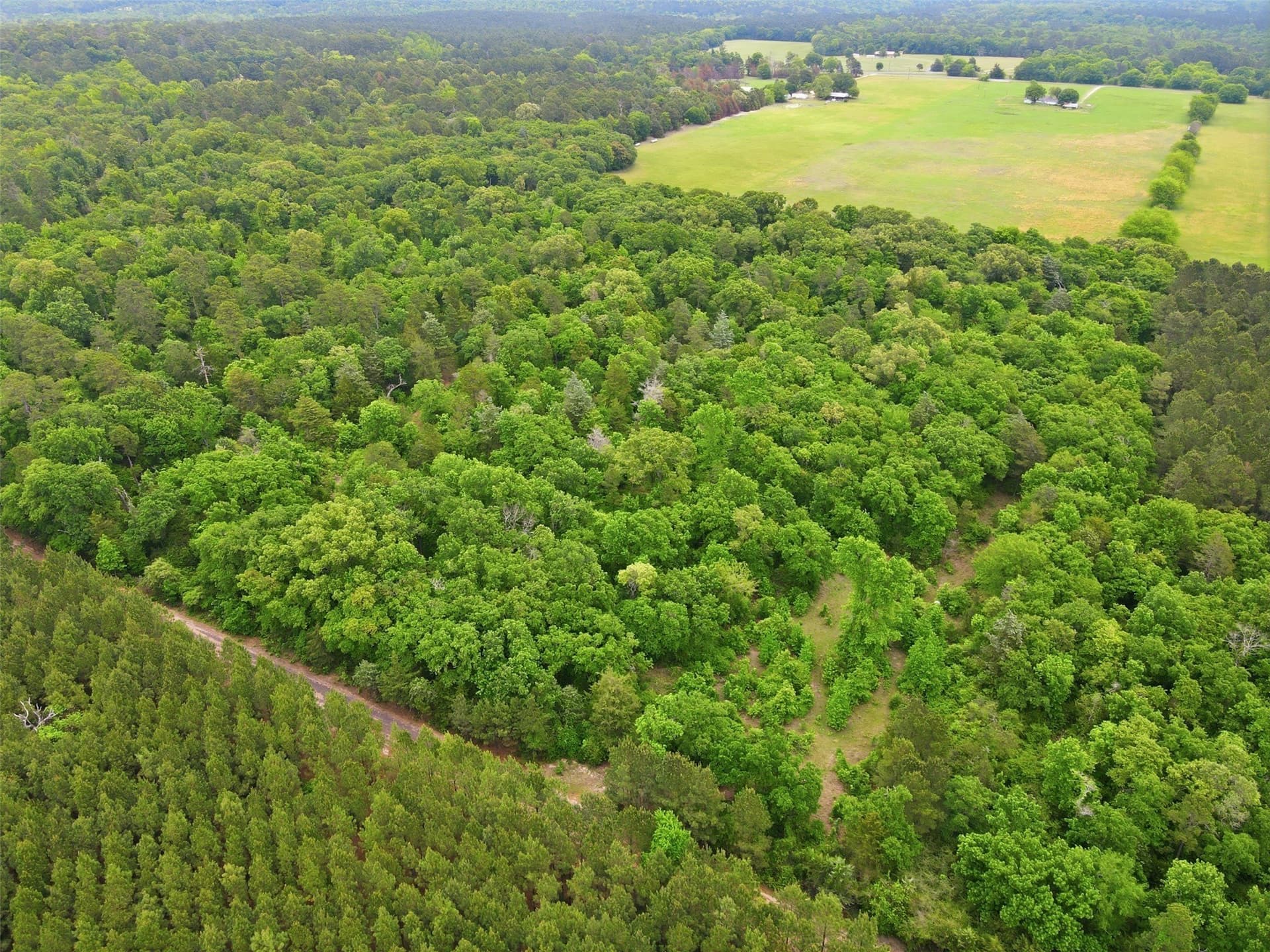 30.35 acres in Wood County - photo 2