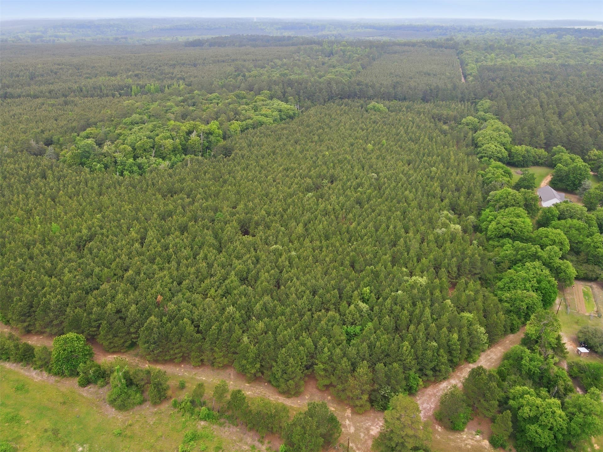 30.35 acres in Wood County - photo 6