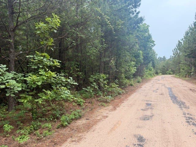 30.35 acres in Wood County - photo 8