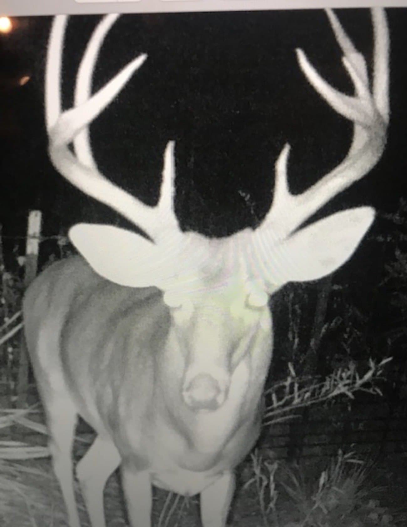 30.35 acres in Wood County - photo 11