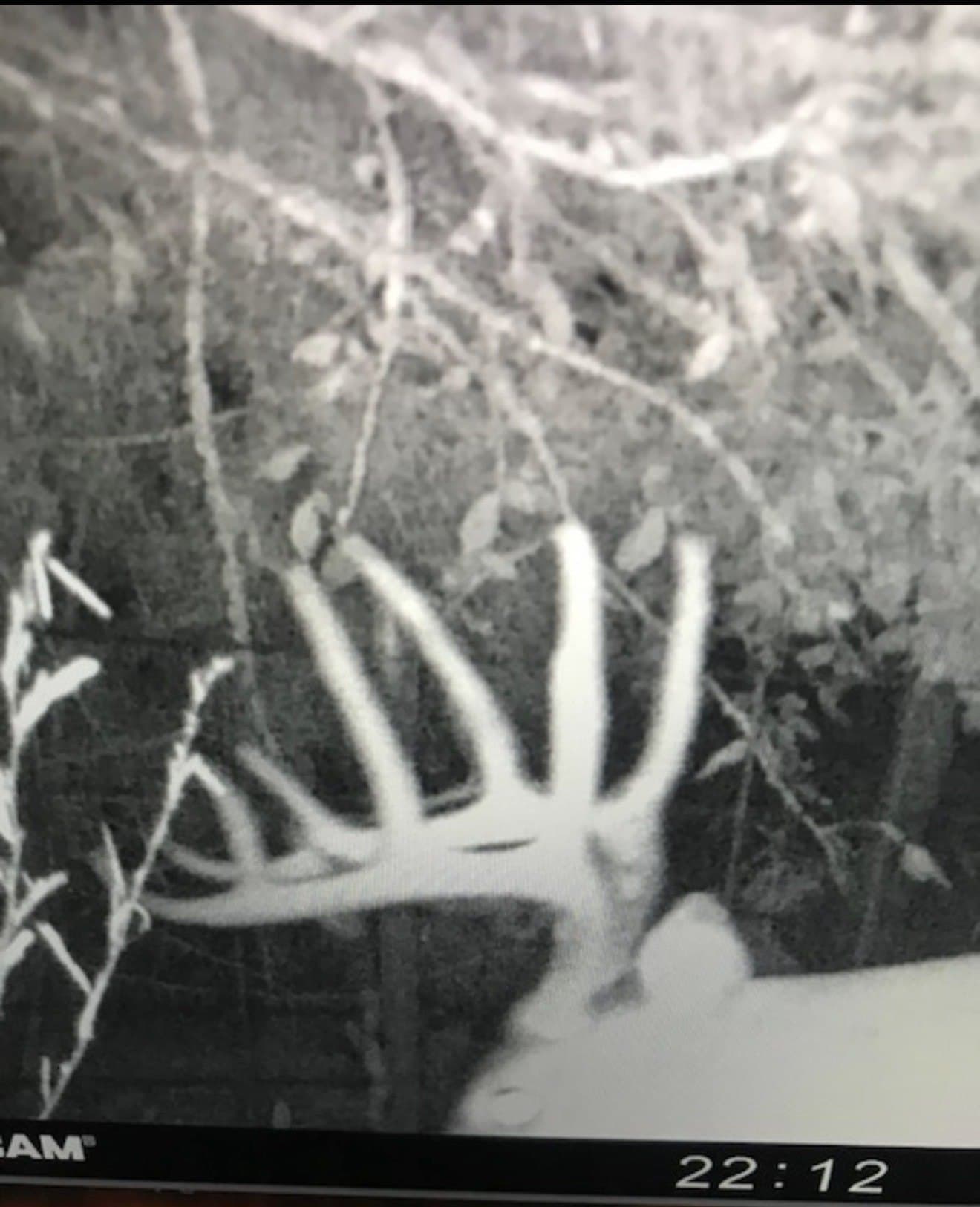30.35 acres in Wood County - photo 12