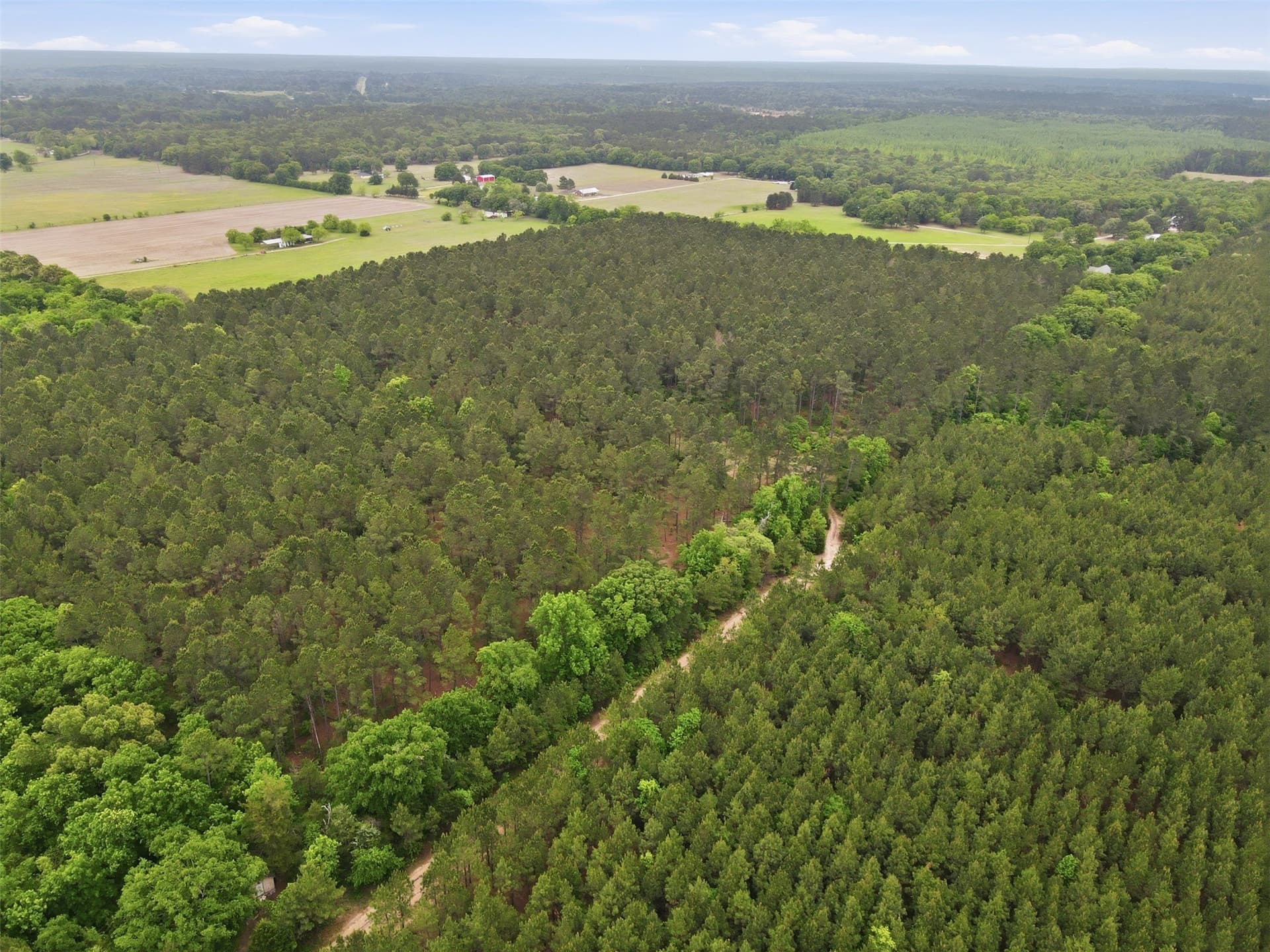 30.35 acres in Wood County - photo 4