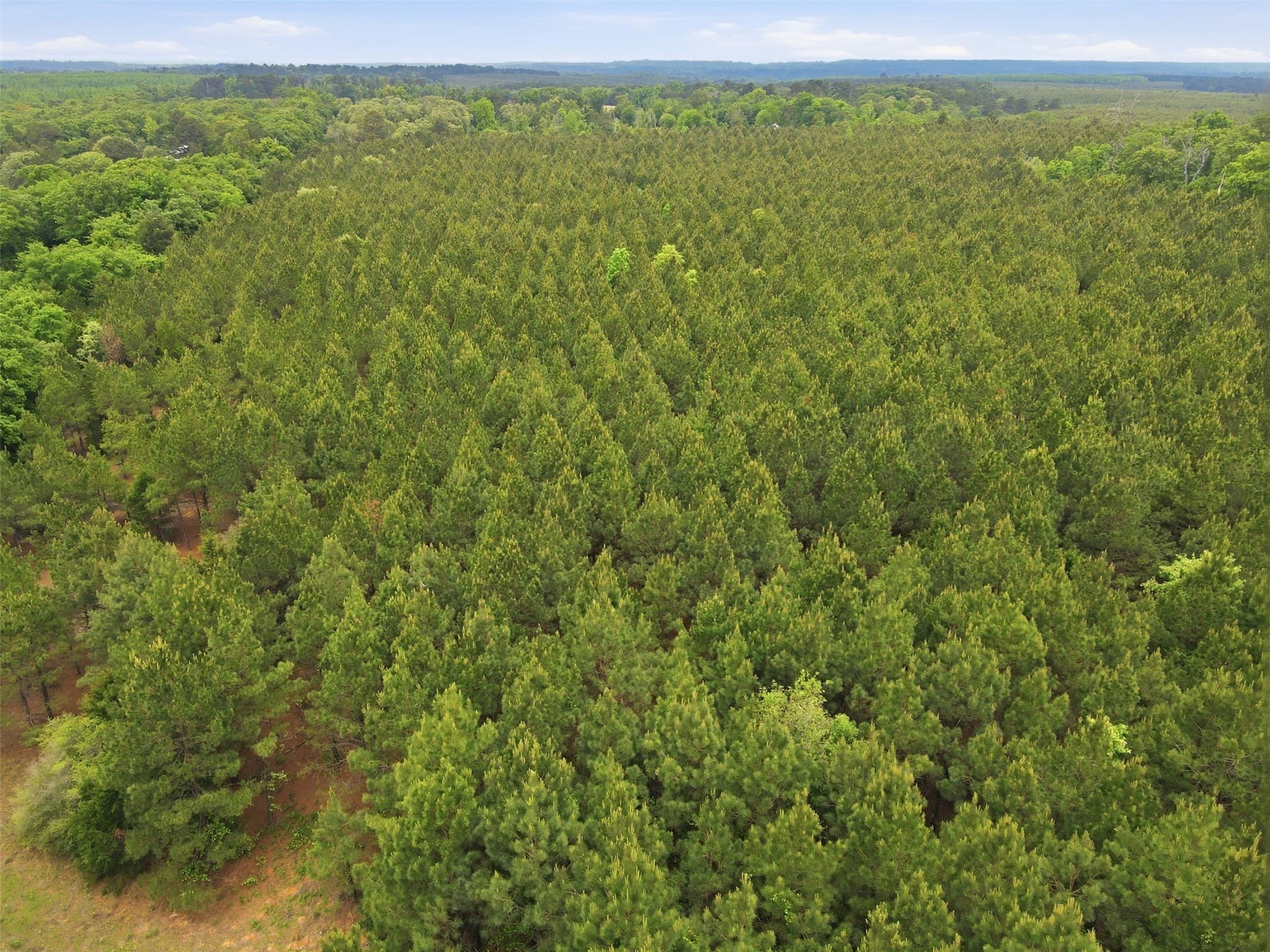 30.35 acres in Wood County - photo 7