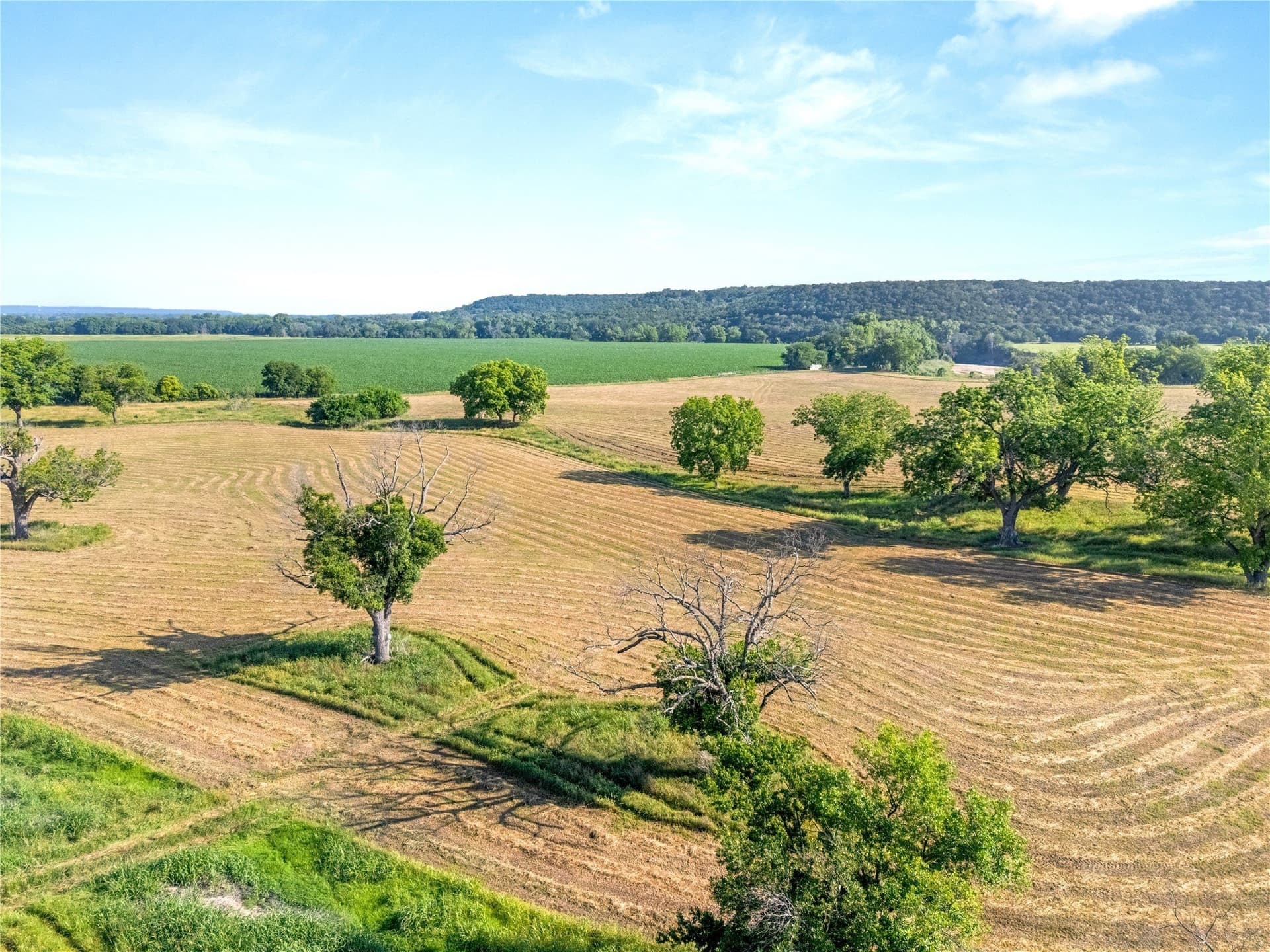 32.07 acres in Bosque County - photo 21