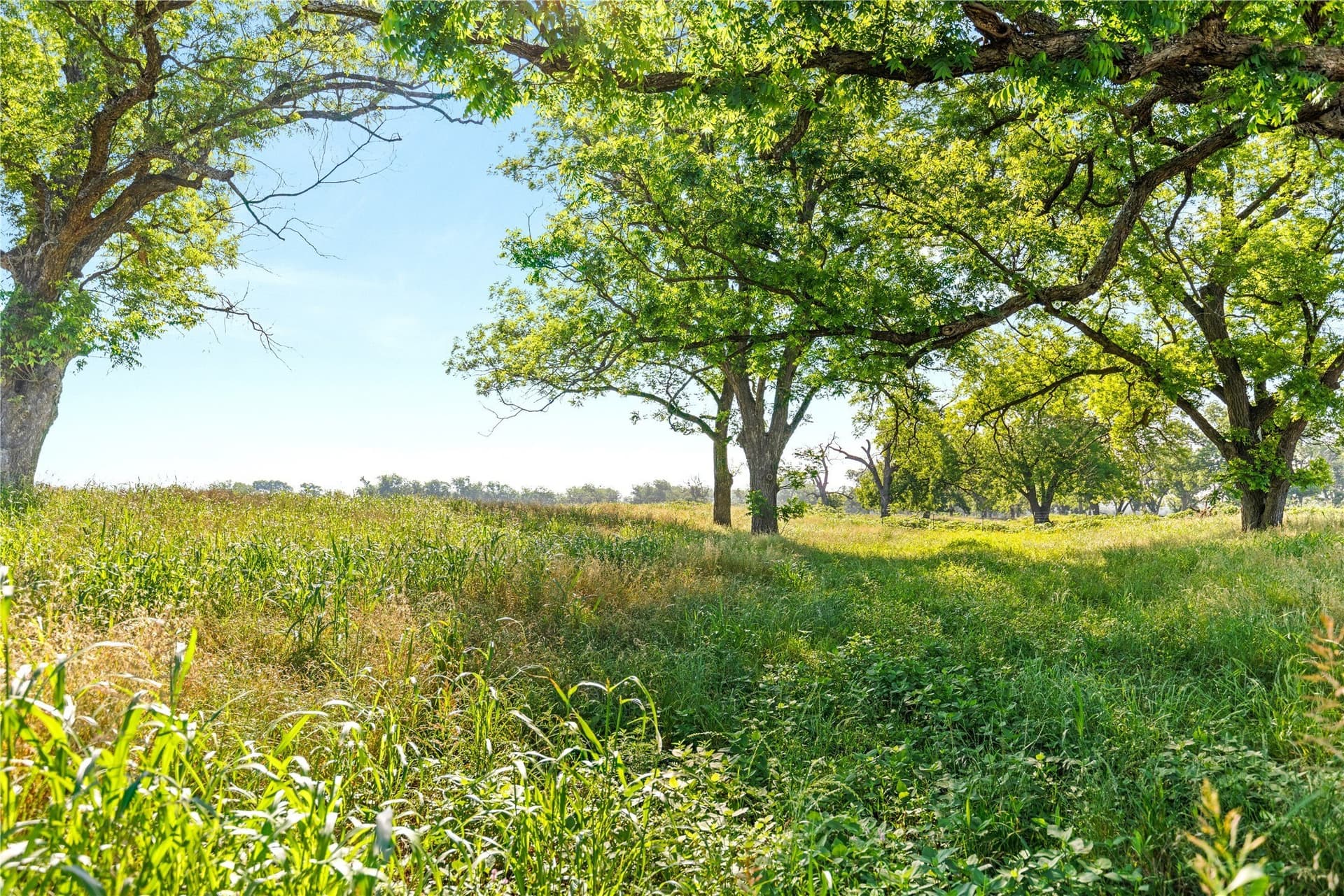 32.07 acres in Bosque County - photo 15