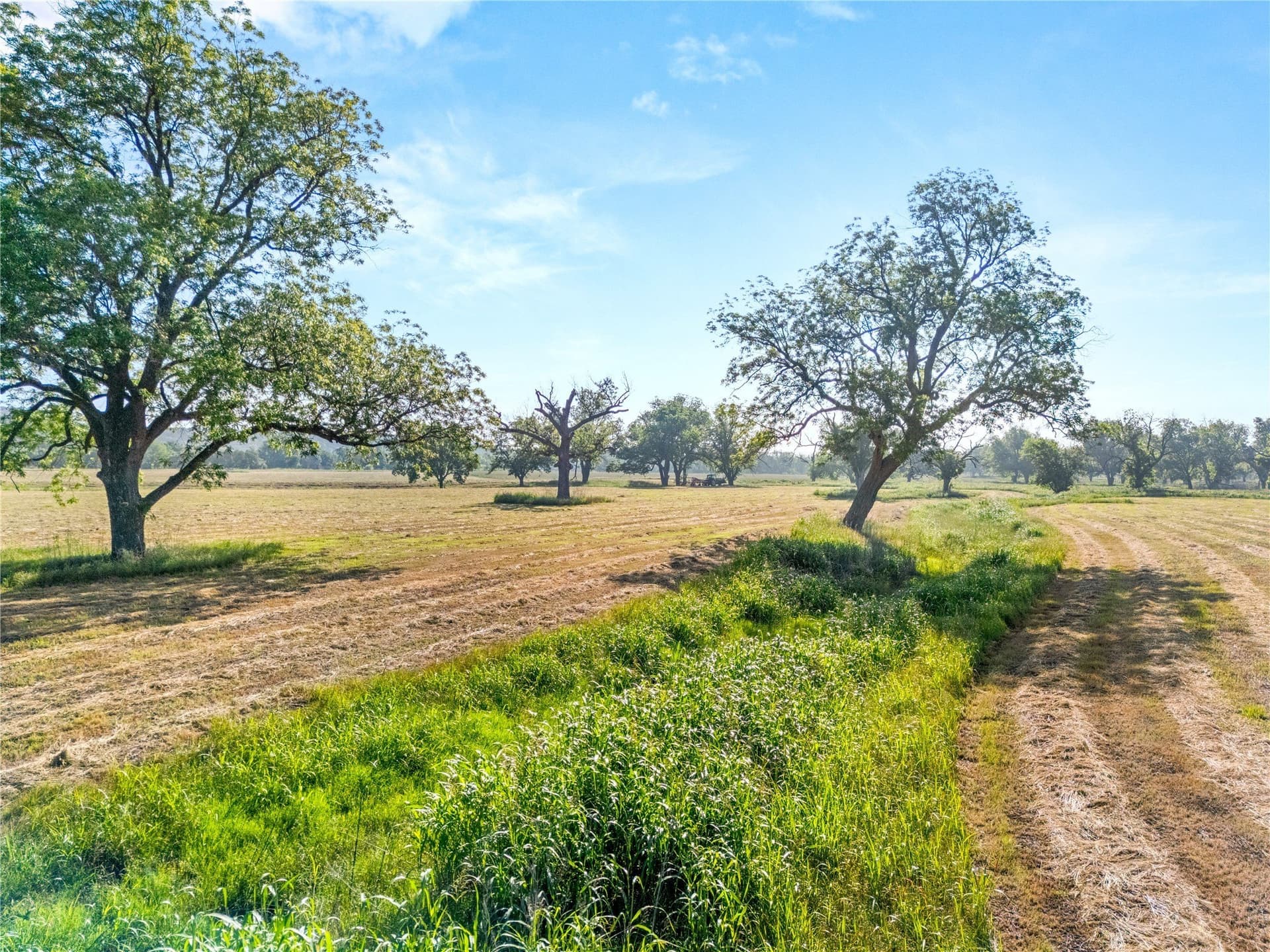32.07 acres in Bosque County - photo 16
