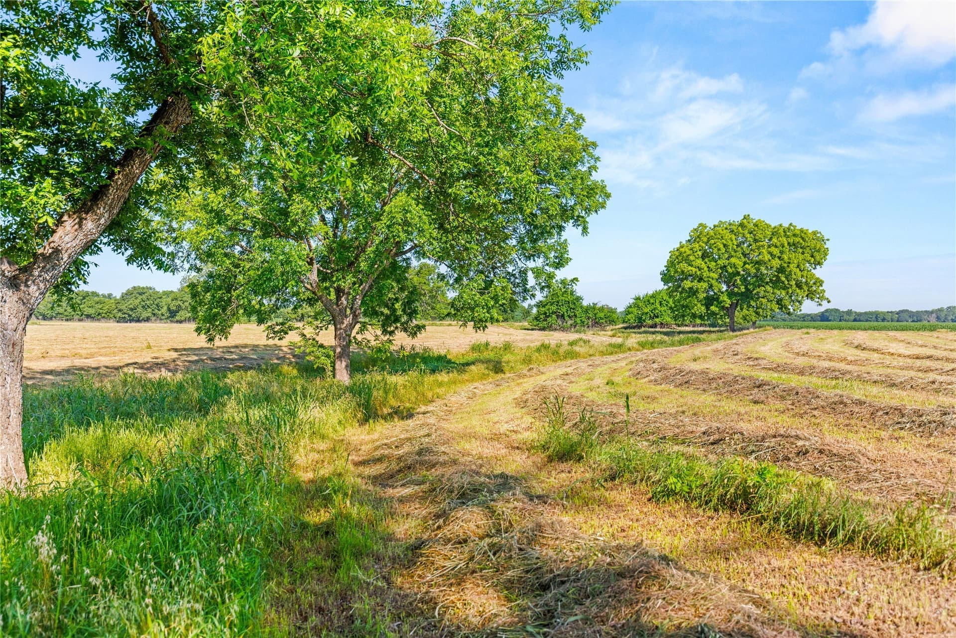 32.07 acres in Bosque County - photo 19