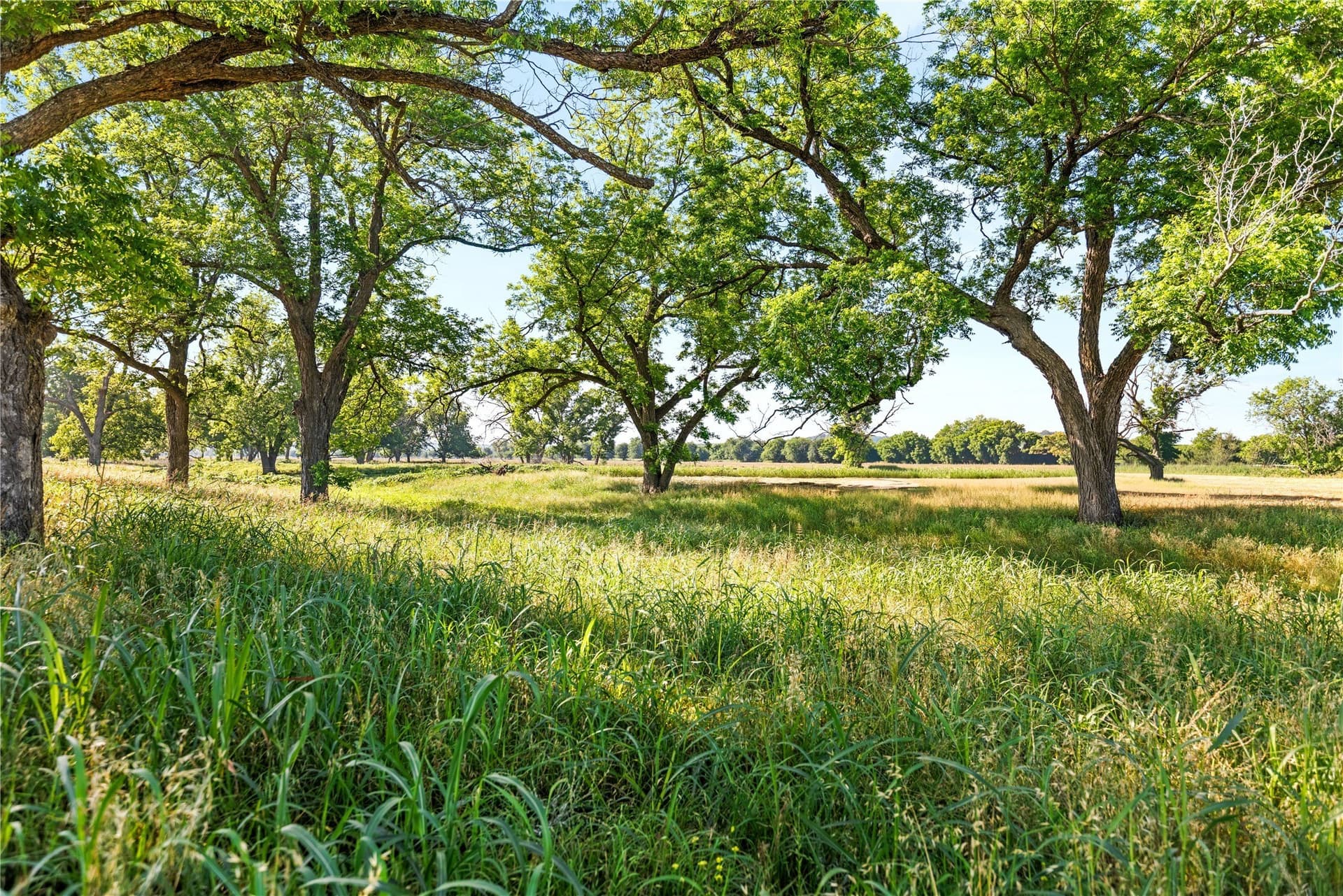32.07 acres in Bosque County - photo 4