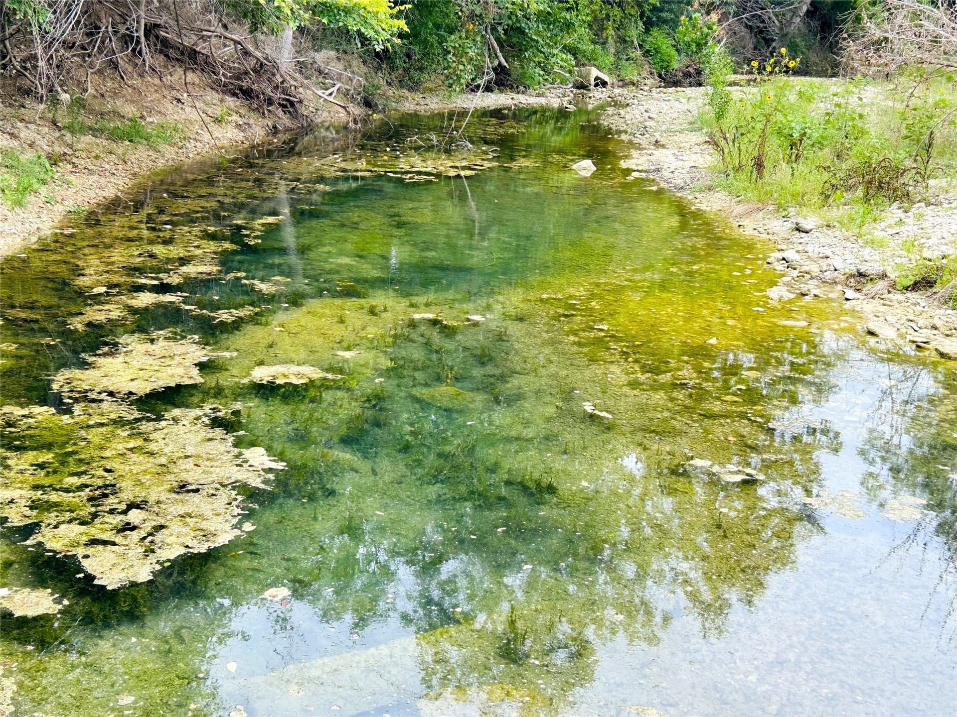 50.48 acres in Coryell County - photo 3