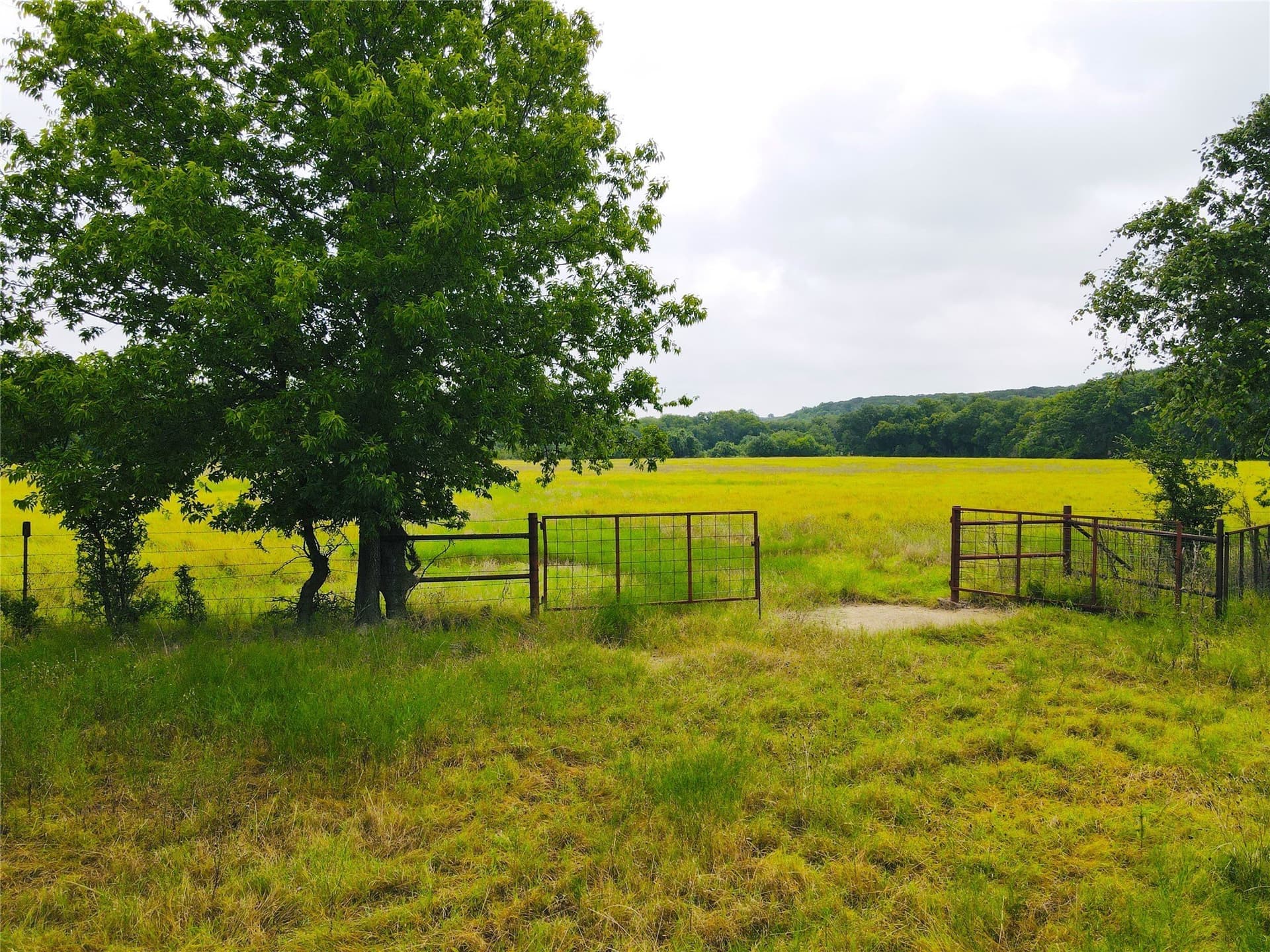 50.48 acres in Coryell County - photo 4