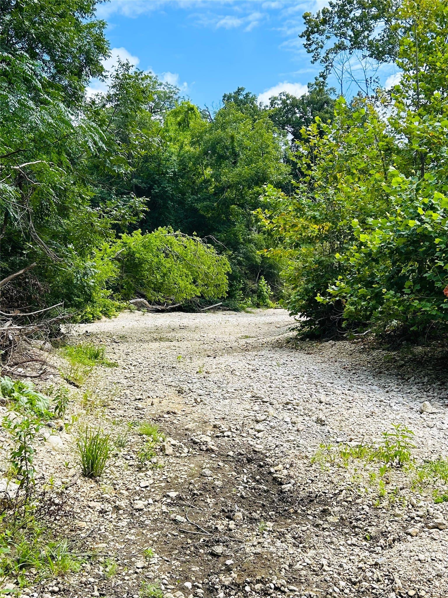 50.48 acres in Coryell County - photo 5