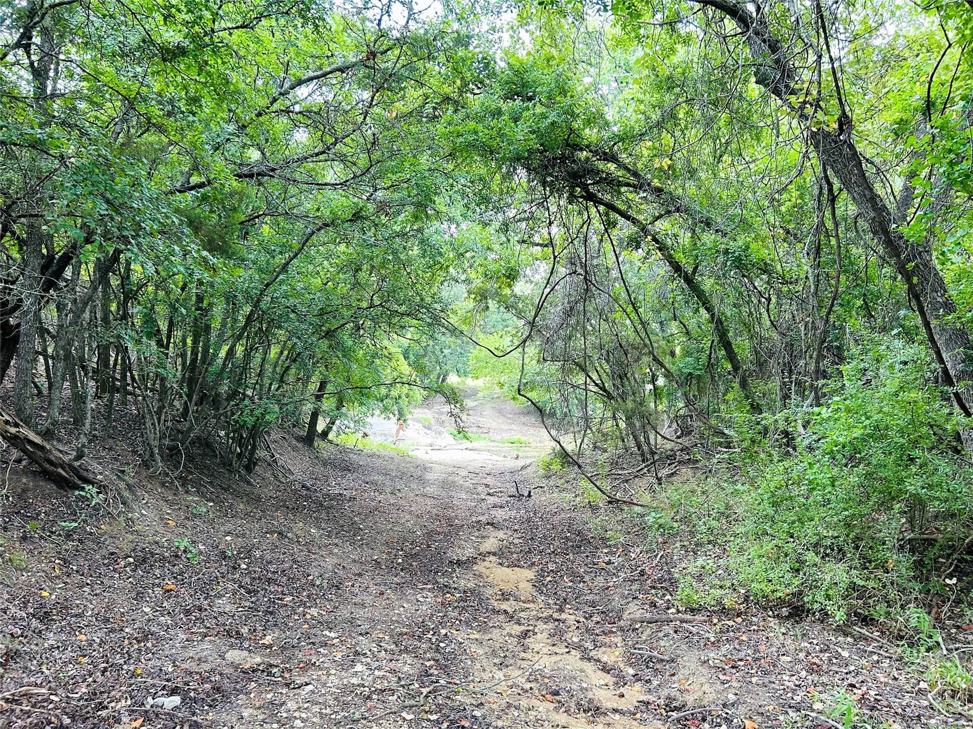 50.48 acres in Coryell County - photo 2