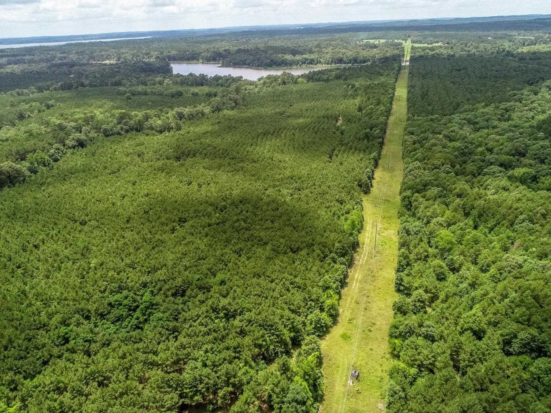 118.66 acres in Marion County featured view
