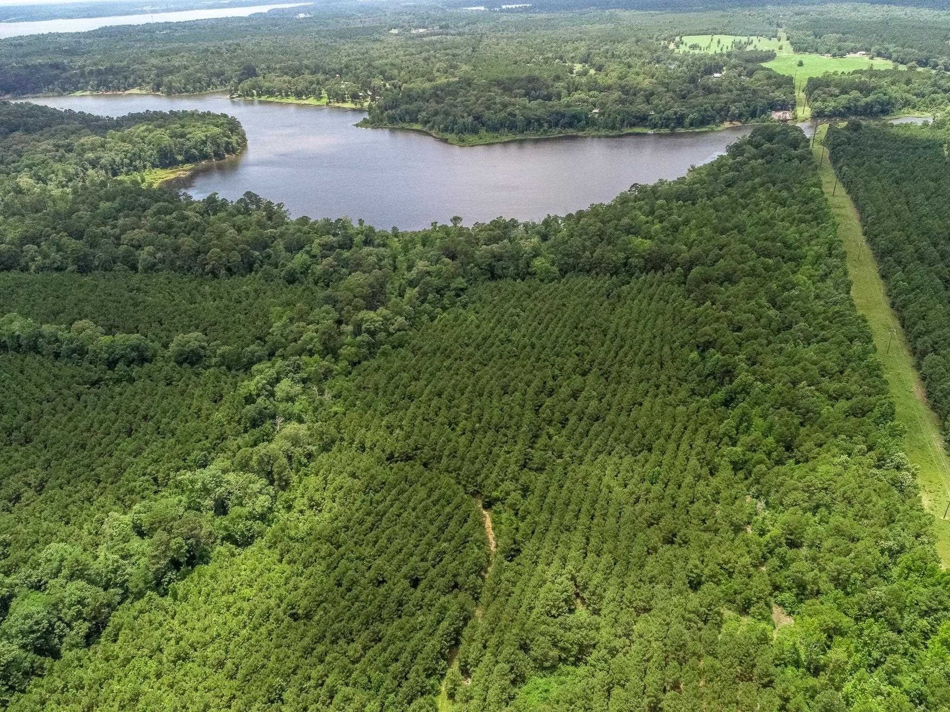 118.66 acres in Marion County