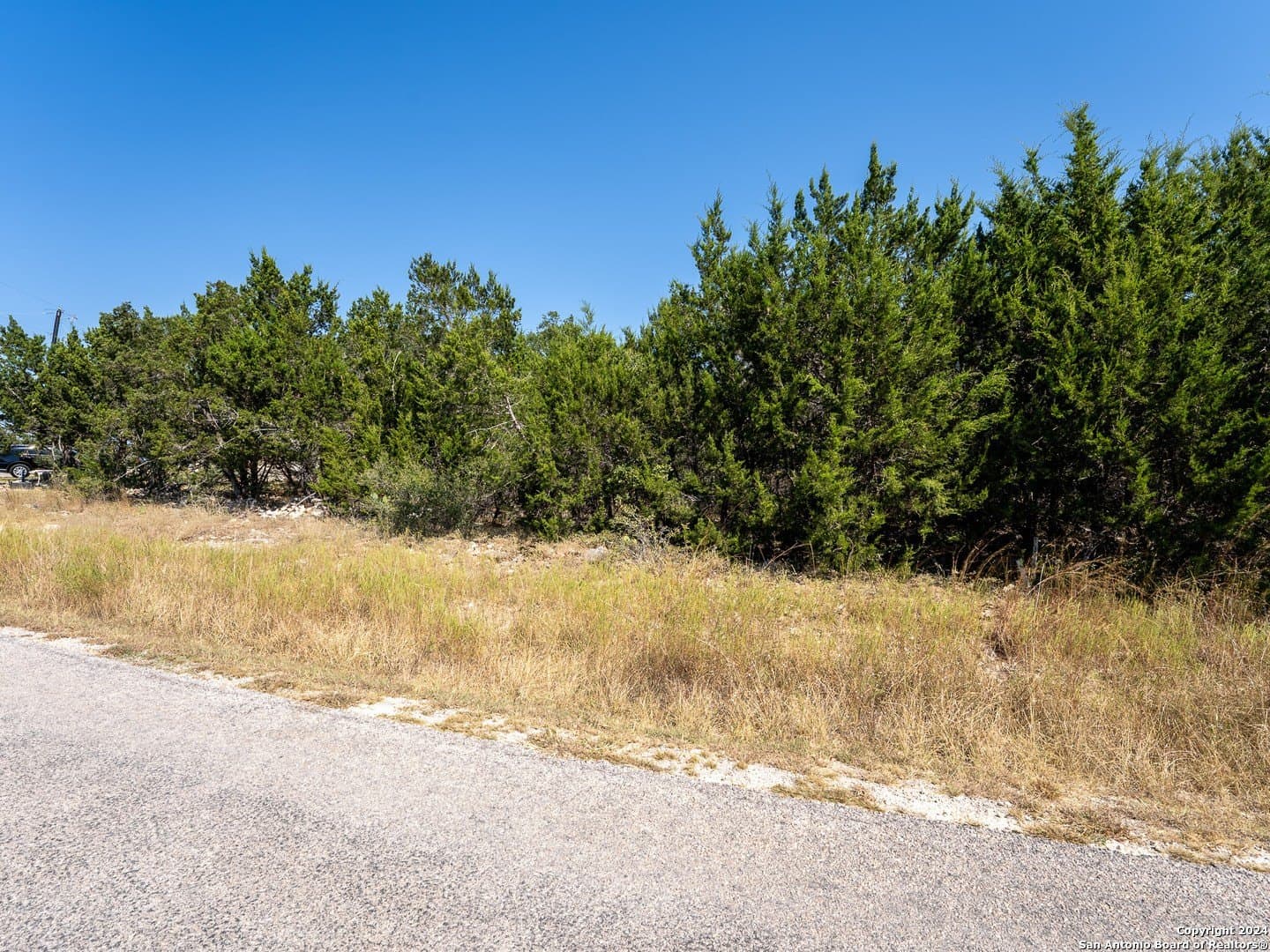 0.23 acres in Blanco County - photo 6