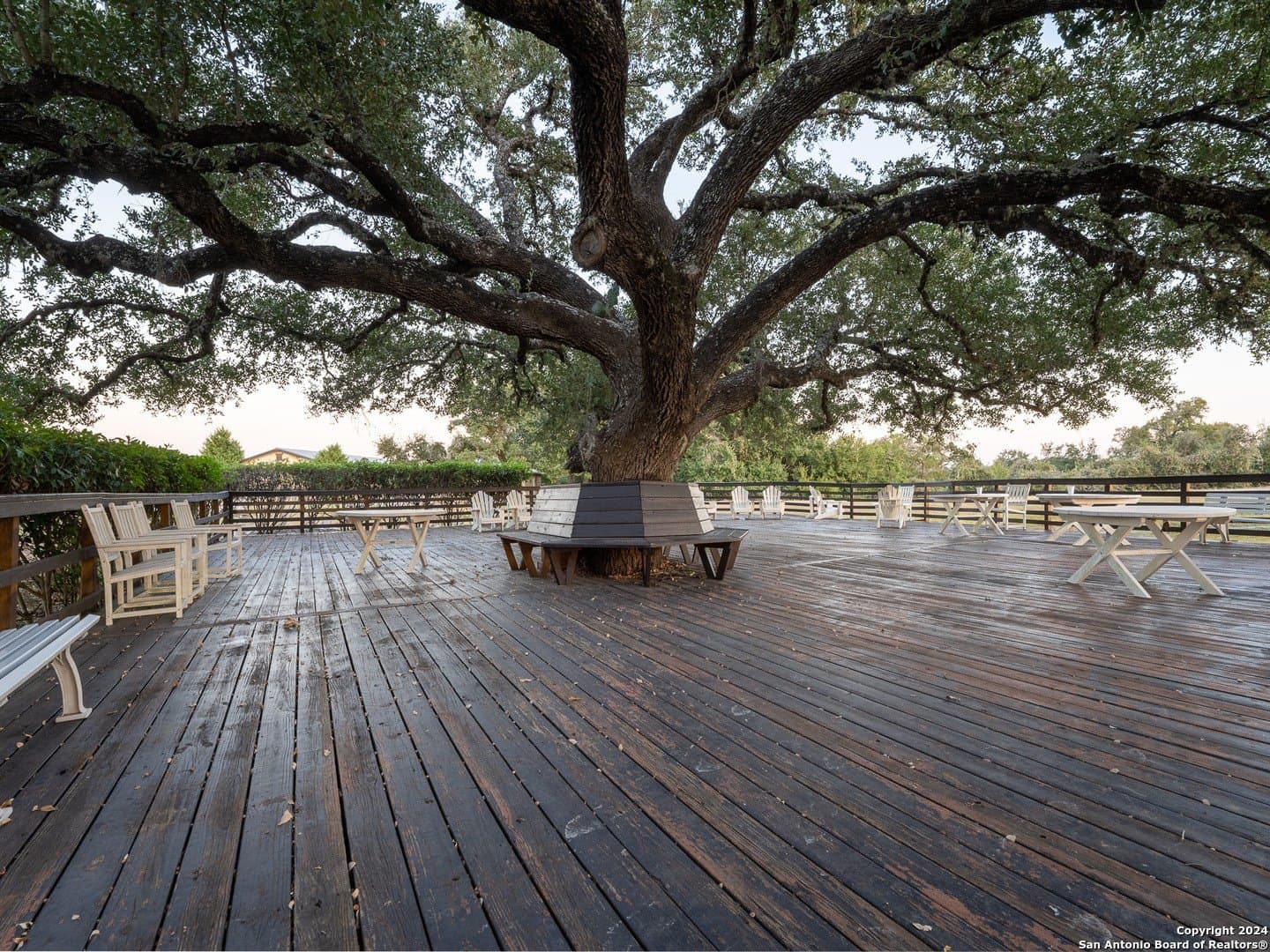 0.23 acres in Blanco County - photo 14