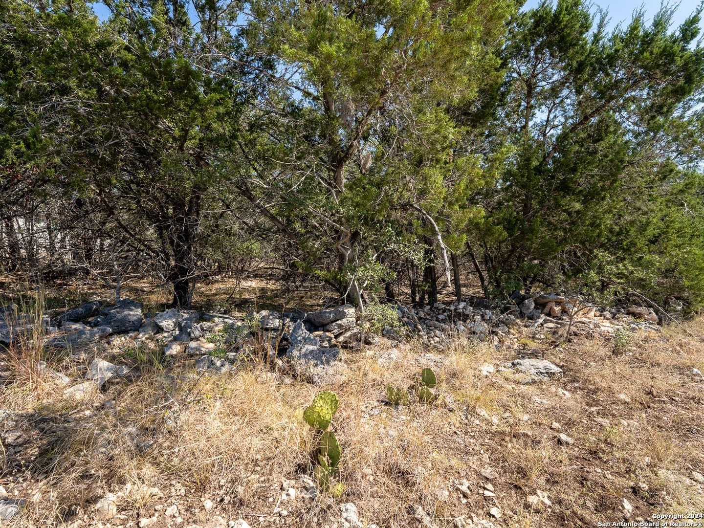 0.23 acres in Blanco County - photo 7